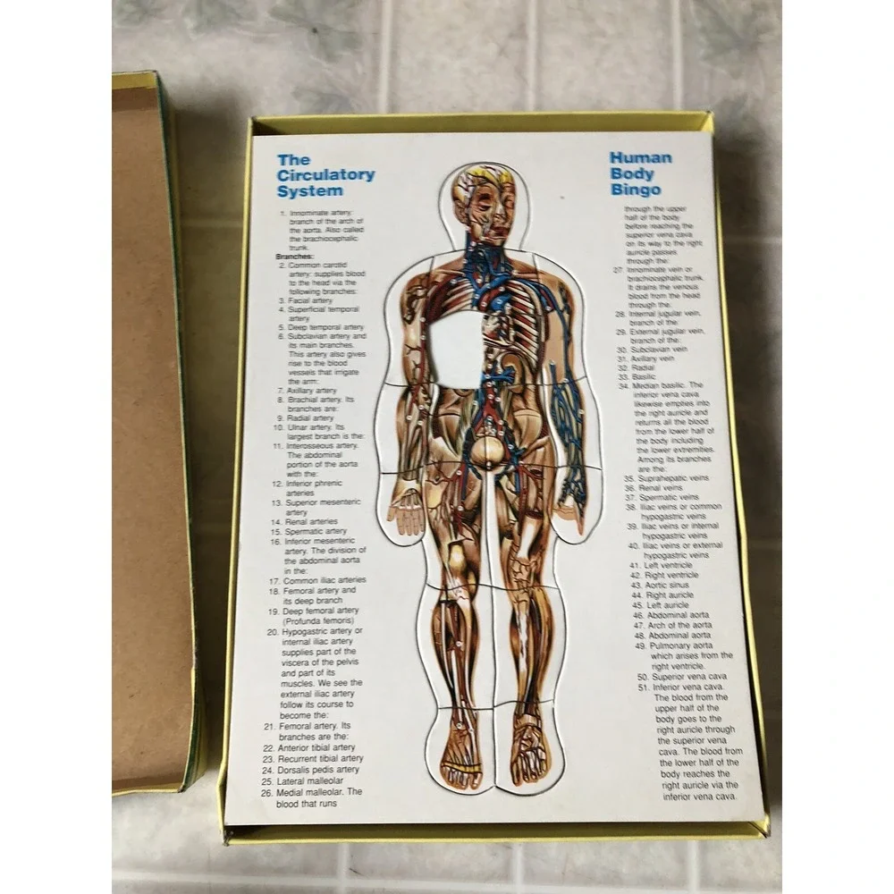 Vintage Human Body‎ Bingo Puzzle , Anatomy Biology Life Science Safari LTD